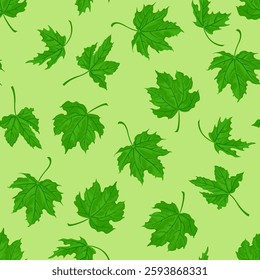 Green maple leaves seamless pattern. Botanical background. Vector cartoon flat illustration