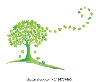 Green Maple Tree With Falling Leaves isolated on White Background.  Elegant Design for summer or spring with Text Space. Vector, EPS10 editable illustration.