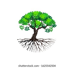 Green Maple Tree Logo With Circular Shape. Tree And Roots Icon.