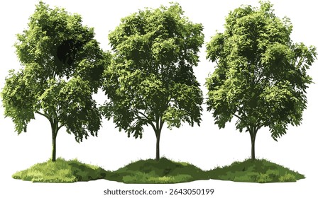 Green maple trees vector, cut out shapes file, isolated background, transparent tree silhouette, nature clipart, eco friendly design, tree icon, foliage pattern, landscape element