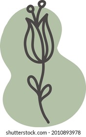 Green marigold, illustration, vector on a white background.