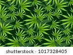 Green marijuana background vector illustration. Seamless pattern marihuana leaf herb narcotic textile. Grass medical agriculture addictive weed nature forbidden.