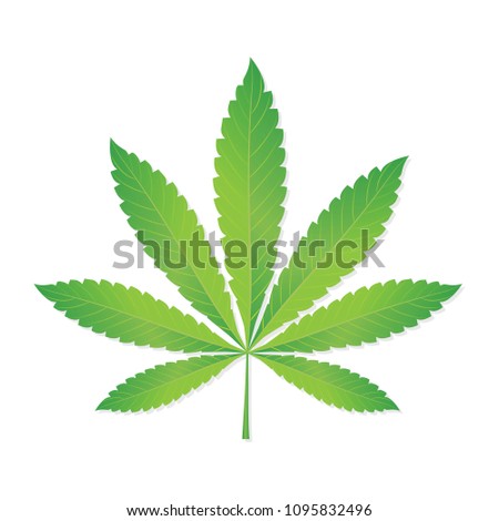 Green marijuana Leaf. Hemp leaf sign. Vector illustration isolated on white background