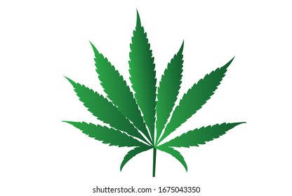 green marijuana leaf isolated on white vector