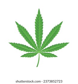 green marijuana leaf vector illustration