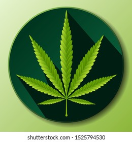 Green marijuana leaves flat icon graphic vector