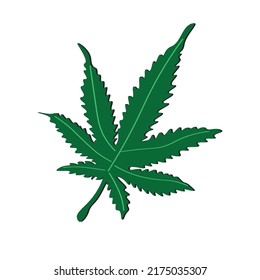 ilustración verde de hoja de marijuna para fondo