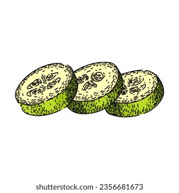 green marrow vegetable hand drawn. zucchini organic, healthy fresh, vegetarian vegan green marrow vegetable vector sketch. isolated color illustration