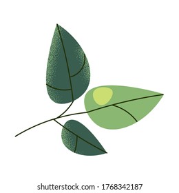 Grüne Matcha-Teeblätter zum Kochen, Vektorgrafik