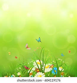 Green meadow background with flowers, butterflies and grass