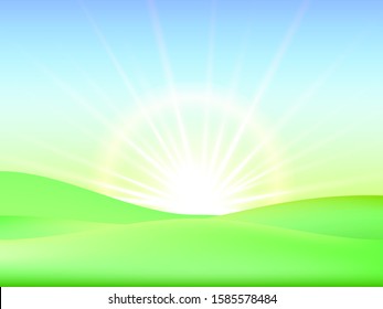 Green meadow background. Vector illustration for poster