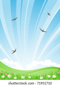 Green meadow with daisies and tulips on a background of the rising sun. Swallows fly in the sky. Vector illustration.