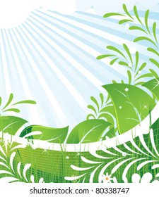 Green meadow with dense vegetation