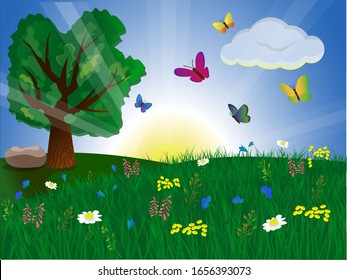 Green meadow or field with grass, colorful butterflies ond blooming flowers. Summer or spring vector illustration