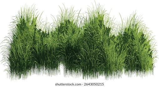 Green meadow field, lush grass, vector cut out, nature landscape, outdoor scenery, vibrant plants, fresh grassland, spring meadow, nature environment, grassy terrain