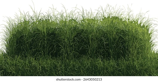 Green meadow field, vector shape cut out, fresh grass, nature landscape, outdoor scenery, lush vegetation, grassy terrain, spring environment, natural field, vibrant plants