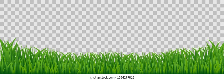 Green Meadow Grass Border Isolated On Transparent Vector Background.