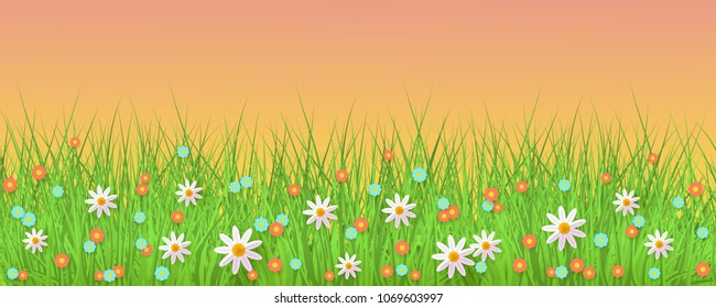 Green meadow grass, daisy chamomile flowers on orange sunset sky background. Spring summer sale, festive template for retail poster and advertising design wtih space for text. Vector illustration