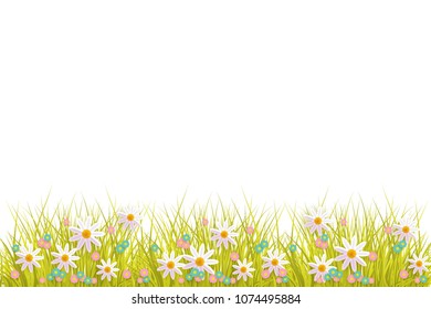 Green meadow grass, daisy chamomile flowers on white isolated background. Spring summer sale, festive template for retail poster and advertising design wtih space for text. Vector illustration