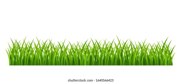 Green meadow grass - isolated lawn floral element - vector illustration