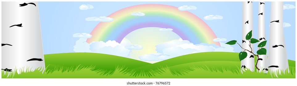 Green meadow with growing birch trees and a rainbow