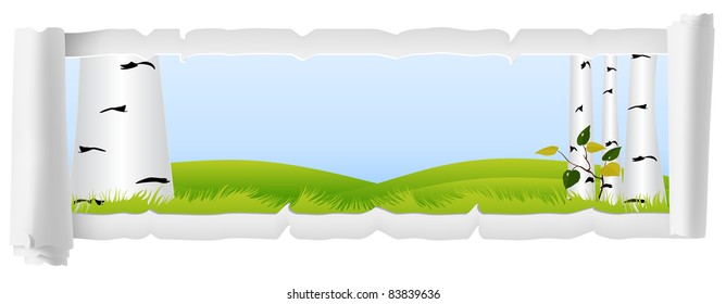 Green meadow with growing birch trees on white scroll paper