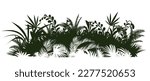 Green meadow. Jungle rainforest. Nature landscape silhouette. Dense tropical thickets. Isolated on white background. Vector.