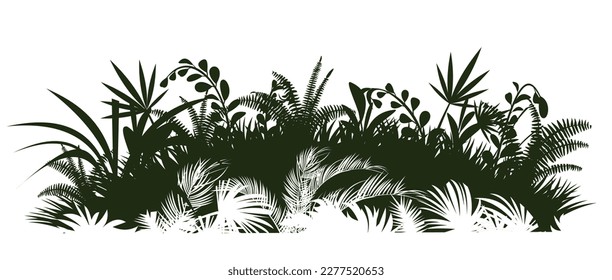 Green meadow. Jungle rainforest. Nature landscape silhouette. Dense tropical thickets. Isolated on white background. Vector.