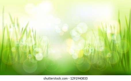 Green meadow. Nature background. Vector illustration.