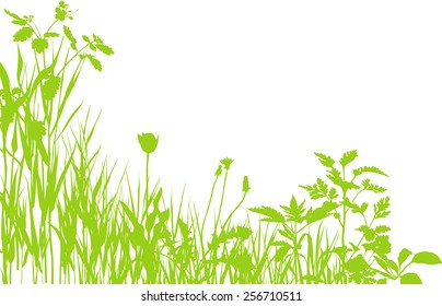 Green meadow plants