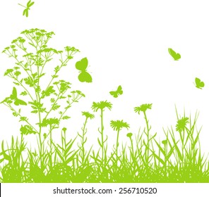 Green meadow plants