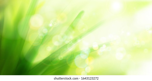 Green meadow in strong sunlight. Abstract nature background. Fresh grass. Spring landscape. Vector illustration.