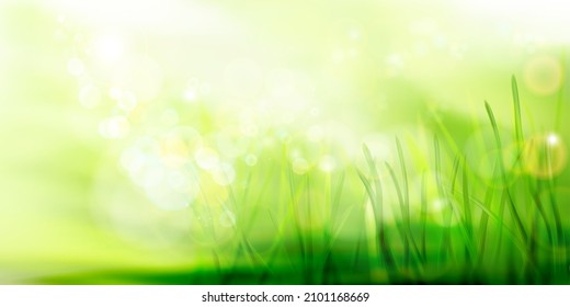 Green meadow in strong sunlight. Fresh grass. Nature background. Spring landscape. Abstract vector illustration.