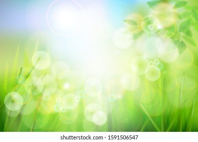 Green meadow in strong sunlight. Nature background. Fresh grass. Spring landscape. Abstract vector illustration.
