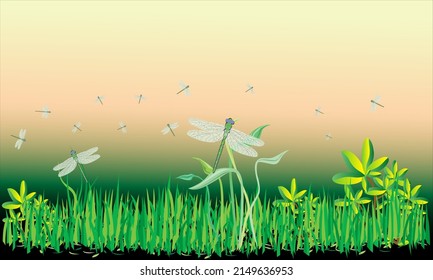 Green meadow swarm of dragonflies beautiful nature vector design EPS-10