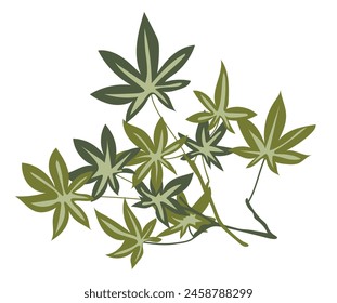 Green medical cannabis leaves in flat design. Herbal foliage on branches. Vector illustration isolated.