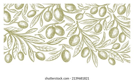 Green mediterranean olives. Vector texture background. Vintage hand drawn decorative pattern. Wild fruit, leaves. Organic oil