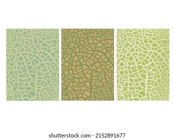 Green melon texture for pattern, vector art