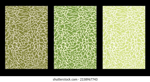 Green melon texture for pattern, vector art