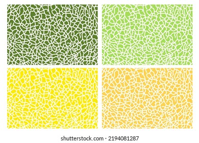 Textura de melón verde para el patrón, arte vectorial