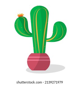 Cactus mexicano verde suculento en un vector de olla
