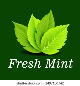 green mint leaf on green background
