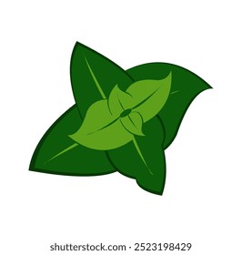 green mint leaves 2 pairs