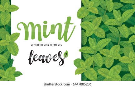 Green mint leaves on background template. Vector set of herbal element for advertising, packaging design, greeting card and fashion design.