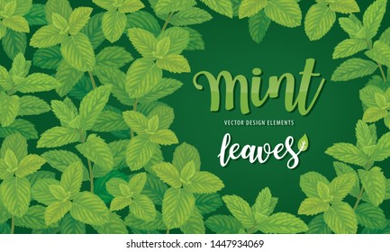 Green mint leaves on background template. Vector set of herbal element for advertising, packaging design, greeting card and fashion design.