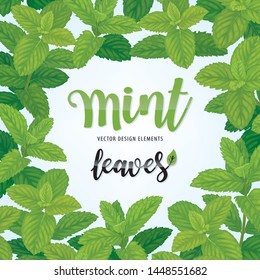 Green mint leaves on background template. Vector set of herbal element for advertising, packaging design, greeting card and fashion design.