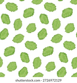 Modelo verde de las hojas de la menta en el fondo blanco, repetición botánica inconsútil con la textura suave de la acuarela, crujiente
