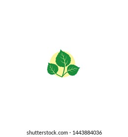  Green mint leaves set icons on white
