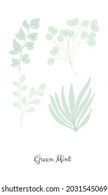 Green mint leaves wallpaper vector