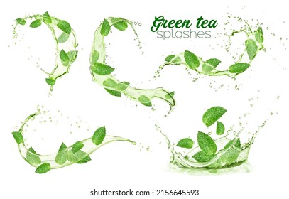 Green mint leaves with water splashes, herbal mint drink flow. Menthol, peppermint, match tea foliage waves. Vector organic beverage. 3d advertising with realistic leaves in aqua splatters